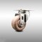Service Caster 3 Inch 316SS High Temp Glass Filled Nylon Wheel Swivel Bolt Hole Caster SCC SCC-SS316BH20S314-GFNSHT - alternate 1
